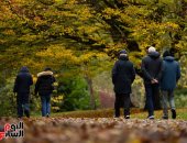 بريطانيا تتزين بألوان الخريف فى لوحة من سحر الطبيعة