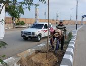 التنمية المحلية تعلن انطلاق المرحلة الرابعة من المبادرة الرئاسية 100 مليون شجرة بالشرقية