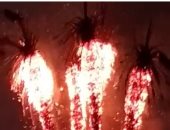 السيطرة على حريق بنخيل ببنها فى القليوبية دون خسائر بشرية..فيديو