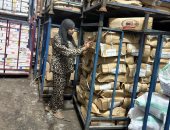 ضبط 314 طنا و645 كجم لحوم مجمدة فاسدة خلال حملة تفتيشية مفاجئة فى بلبيس