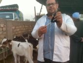 الطب البيطرى بسوهاج يواصل أعمال التحصين ضد الحمى القلاعية وحمى الوادى المتصدع