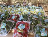 مجتمع جديد للوادى الجديد.. أكبر مشروع لتوطين الشباب بإجمالى 100 ألف شخص.. تنفيذ 4 قرى متكاملة واستصلاح 7 آلاف فدان لتوفير فرص عمل إنتاجية.. قرى الجذب السكانى تجهز 1400 وحدة سكنية نموذجية بمنطقة أبو طرطور.. صور