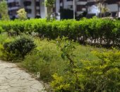 حديقة الكروان تتحول من مساحة مهجورة لمتنفس حضارى لأهالى وزوار بورسعيد