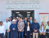 وزيرة التخطيط: توجيهات القيادة السياسية بضرورة تحقيق التنمية المتكاملة بشبه جزيرة سيناء