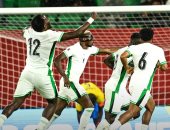 الاتحاد النيجيرى يعتذر للرئيس والجماهير.. ومدرب النسور يثير الجدل