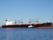 تداول 61 ألف طن و900 شاحنة بضائع عامة ومتنوعة بموانئ البحر الأحمر