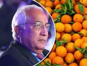 ارتفاع المبيعات وما جابش فايدة.. البرتقال يطيح بأرباح صفوان ثابت