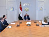 الرئيس السيسى: توسيع نطاق الاستكشافات للبترول والغاز والاستفادة من التجارب الناجحة