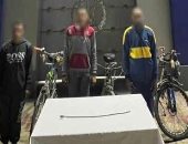 ضبط 3 متهمين تحرشوا بفتاة وضربوها أثناء سيرها فى أحد شوارع المحلة