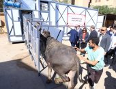 أول مرة فى مصر.. افتتاح مجزر متنقل صناعة محلية بالكامل.. صور