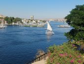 أجواء شتوية رائعة فى أسوان واستقبال أفواج سياحية جديدة.. فيديو