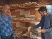 تحرير 479 مخالفة تموينية متنوعة فى سوهاج خلال أسبوع.. صور