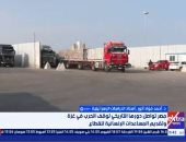 خبير: إقامة الدولة الفلسطينية بات ممكنا رغم التعنت الإسرائيلي