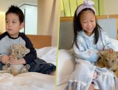 هل تتخيل أن يُوقظك شبل أسد؟ فندق صيني يفعلها مقابل 88 دولارا.. صور