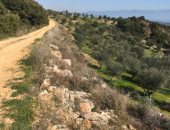 كيف تنقّل المسافرون القدماء عبر اليونان؟.. خرائط رقمية تكشف شبكة الطرق