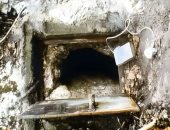 روابط حمض نووى تكشف عن عائلة ألمانية امتدت لـ 3000 عام