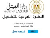 وزارة العمل تعلن 4202 فرصة عمل جديدة في 53 شركة بـ 14 محافظة.. تفاصيل
