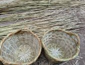 القباب الصغرى.. قرية بلا بطالة بالدقهلية وأهلها يحولون الغاب إلى تراث حي  