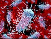 الصحة العالمية: البكتيريا المقاومة للمضادات الحيوية تقتل 10 ملايين شخص 2050