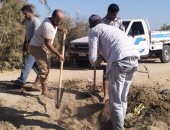 رئيس مياه القناة: إعادة الخدمة لقرية جلبانة بعد استخراج جذور الأشجار من المواسير
