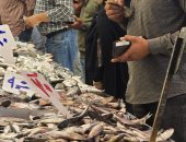 أسعار الأسماك اليوم السبت 3-1-2025 بأسواق مطروح.. القاروص بـ 180 جنيه