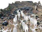 هل بنى الصيادون فى عصور ما قبل التاريخ مصائد حجرية لاصطياد الفرائس؟