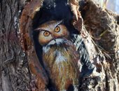 غابات بريشة فنان.. تجميل الحدائق فى الصين لجذب الزوار 