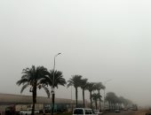 شبورة مائية كثيفة على معظم الأنحاء بمحافظة المنوفية.. فيديو