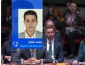 خبير دولي: قرار الأمم المتحدة انتصار رمزي للقضية الفلسطينية ويعكس الدعم المصري التاريخي