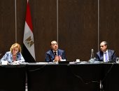 وزير الخارجية يعلن زيارة وفد رجال أعمال مصريين جنوب أفريقيا العام المقبل