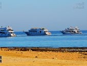 صورة اليوم.. وحدى لكن ونسان وماشى كده وسايبها على الله