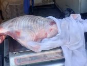 محافظ أسيوط: تكثيف الحملات التموينية على المخابز والأسواق لضبط الأسعار