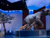 ولى عهد أبوظبى يفتتح متحف التاريخ الطبيعى فى المنطقة الثقافية فى السعديات