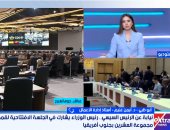 أستاذ إدارة الأعمال: الدبلوماسية الاقتصادية المصرية استعادت دورها الريادى