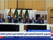 أستاذ تمويل: مشاركة مصر بقمة العشرين تعكس ثقلها الدولي والإقليمي