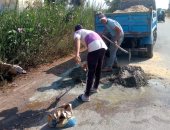 فيها حاجة حلوة.. شباب كفر الشيخ يواصلون مبادرتهم لتحسين الطرق الرئيسية.. صور