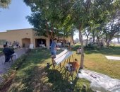 الأقصر مهد الحضارة والفنون والإلهام لنجوم الفن التشكيلي حول العالم.. الدورة 18 لملتقى الأقصر الدولى للتصوير تجذب 21 فنانًا من 12 دولة أجنبية وعربية بينهم مصريين.. نظموا جولات بالمعابد والنيل والكورنيش