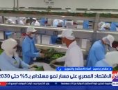 أستاذ تمويل: الاقتصاد المصري متنوع والقطاع الخاص يقود قاطرة النمو