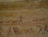 المنيا تحتضن ثلث آثار مصر.. قصص حول معبد حتشبسوت فى بنى حسن وعبادة الإلهة باخت أو القطة.. معابد تحكى تاريخ وحكايات حول حياة القدماء.. بنى فى عهد حتشبسوت وتحتمس الثالث فى 1551 و1447 قبل الميلاد