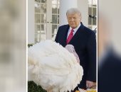 ترامب يعفو عن ديك رومى بمناسبة عيد الشكر