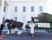 ميلانيا ترامب تستقبل شجرة عيد الميلاد الرسمية للبيت الأبيض.. صور 