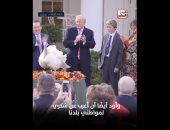 ترامب يستضيف ديك رومى فى البيت الأبيض ويقرر عدم ذبحه احتفالا بعيد الشكر.. فيديو