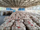 الاتحاد العام للحاصلات البستانية يبدأ تسليم تقاوى البطاطس للمزارعين