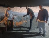 ضبط منشأة تنتج سماد زراعى مغشوش فى الجيزة.. والتحفظ على 95 طن مضبوطات