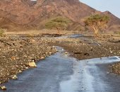 أمطار رعدية شديدة تضرب حلايب جنوب البحر الأحمر.. فيديو