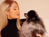 نجمات هوليوود يعشقن الحيوانات.. حب واهتمام يتجاوز الشاشة