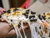 هل تناول البيتزا بالنمل أصبح وجبة شهيرة فى البرازيل؟.. فيديو