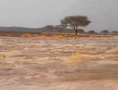 سيول جارفة فى برنيس والشيخ الشاذلى بمرسى علم.. صور