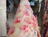 حملات بيطرية موسعة لضبط أسواق اللحوم والأسماك فى إدفو