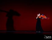 العرض الموسيقى الإيطالى أمورى.. عن العشق والغياب والمشاعر الإنسانية